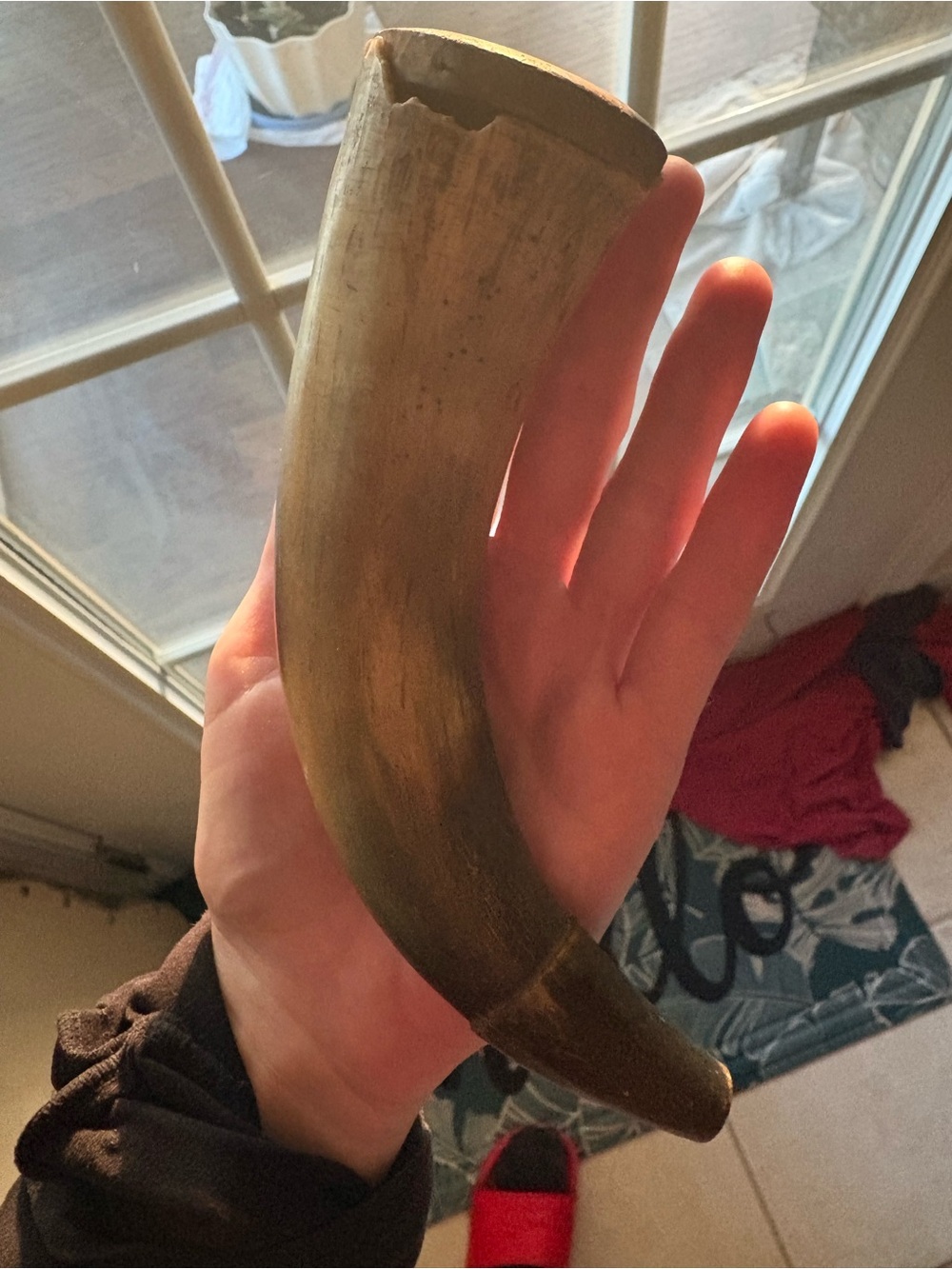 Late 18th C. American Powder Horns Carved